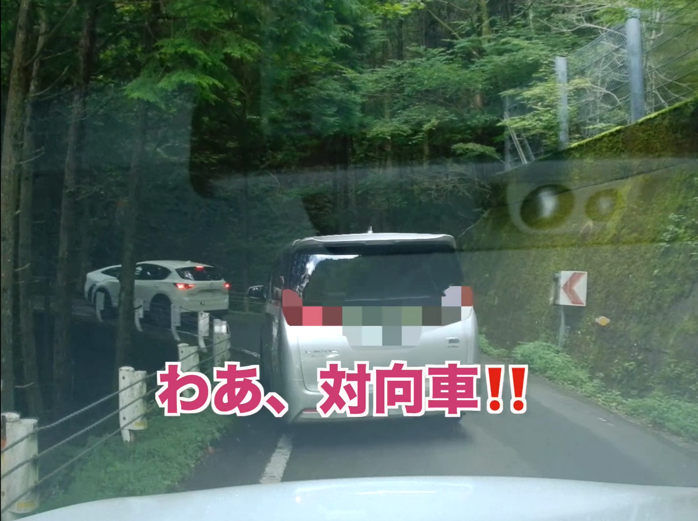 四国カルストへの道のり(アクセス動画)サムネイル