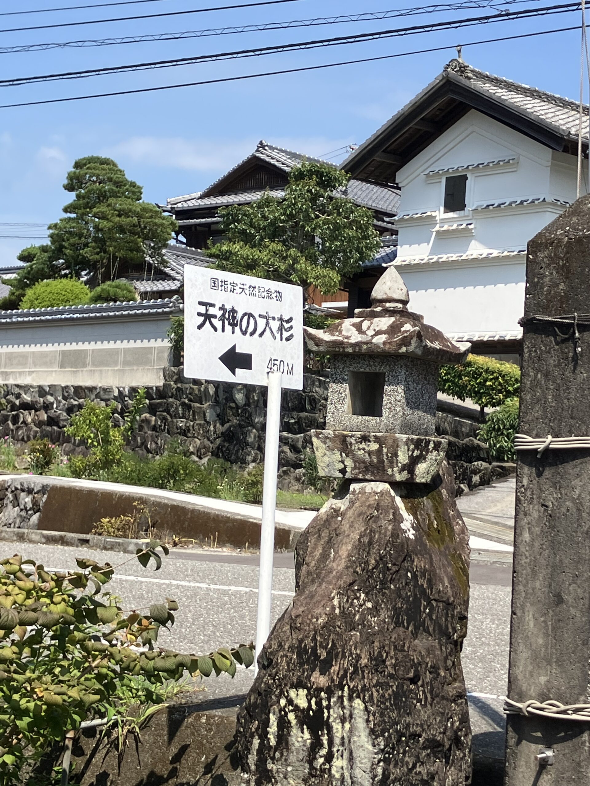 道端の小さな案内板(天神の大杉)