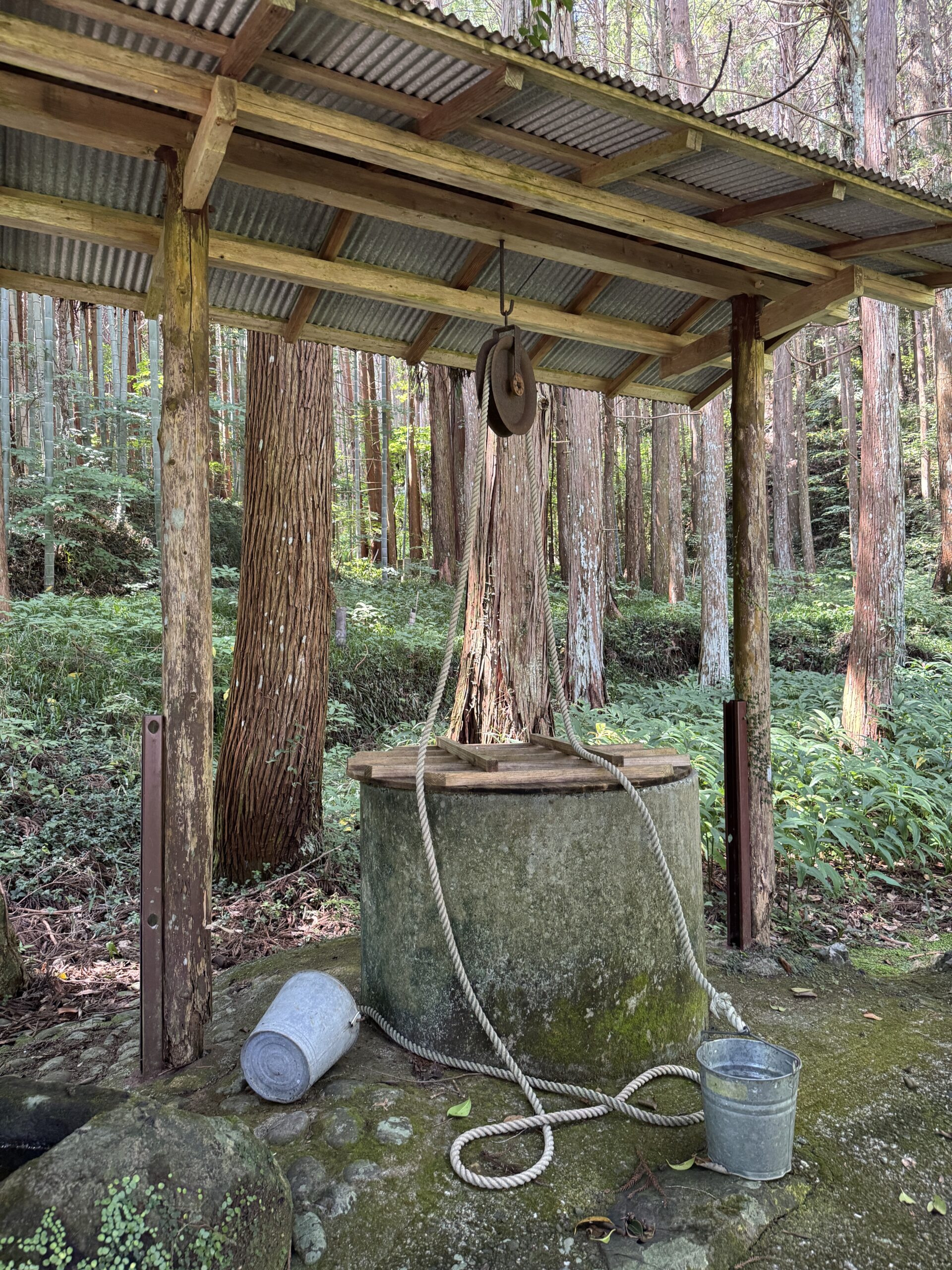 古い井戸(天神の大杉のある境内)