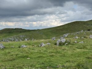 四国カルストの草原と石灰岩