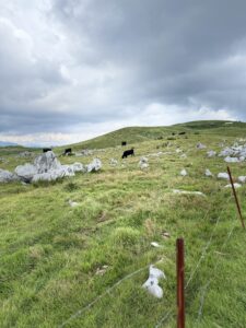 四国カルストの放牧地の遠景