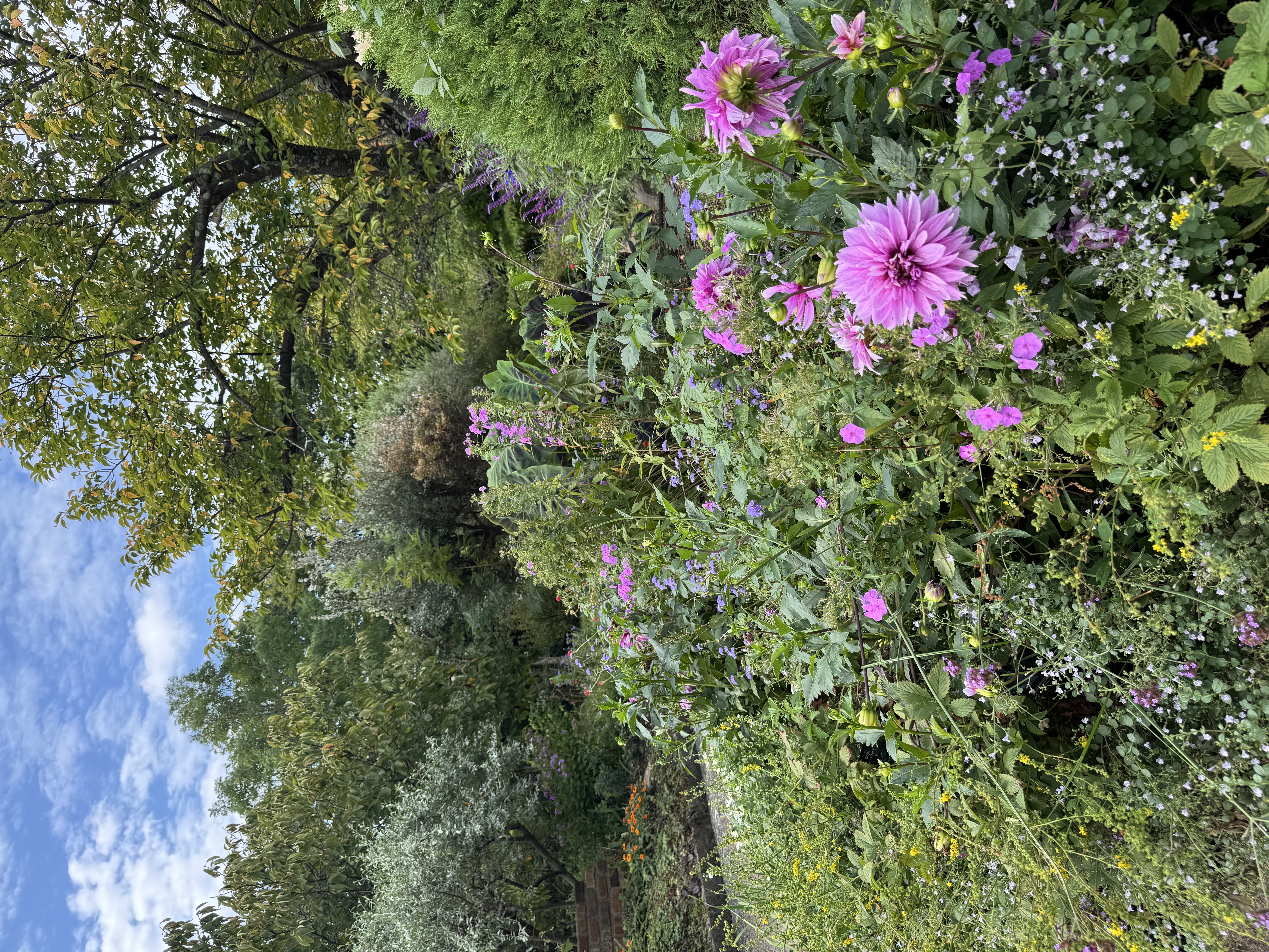 北山緑化植物園 噴水へ続く石畳のアプローチ