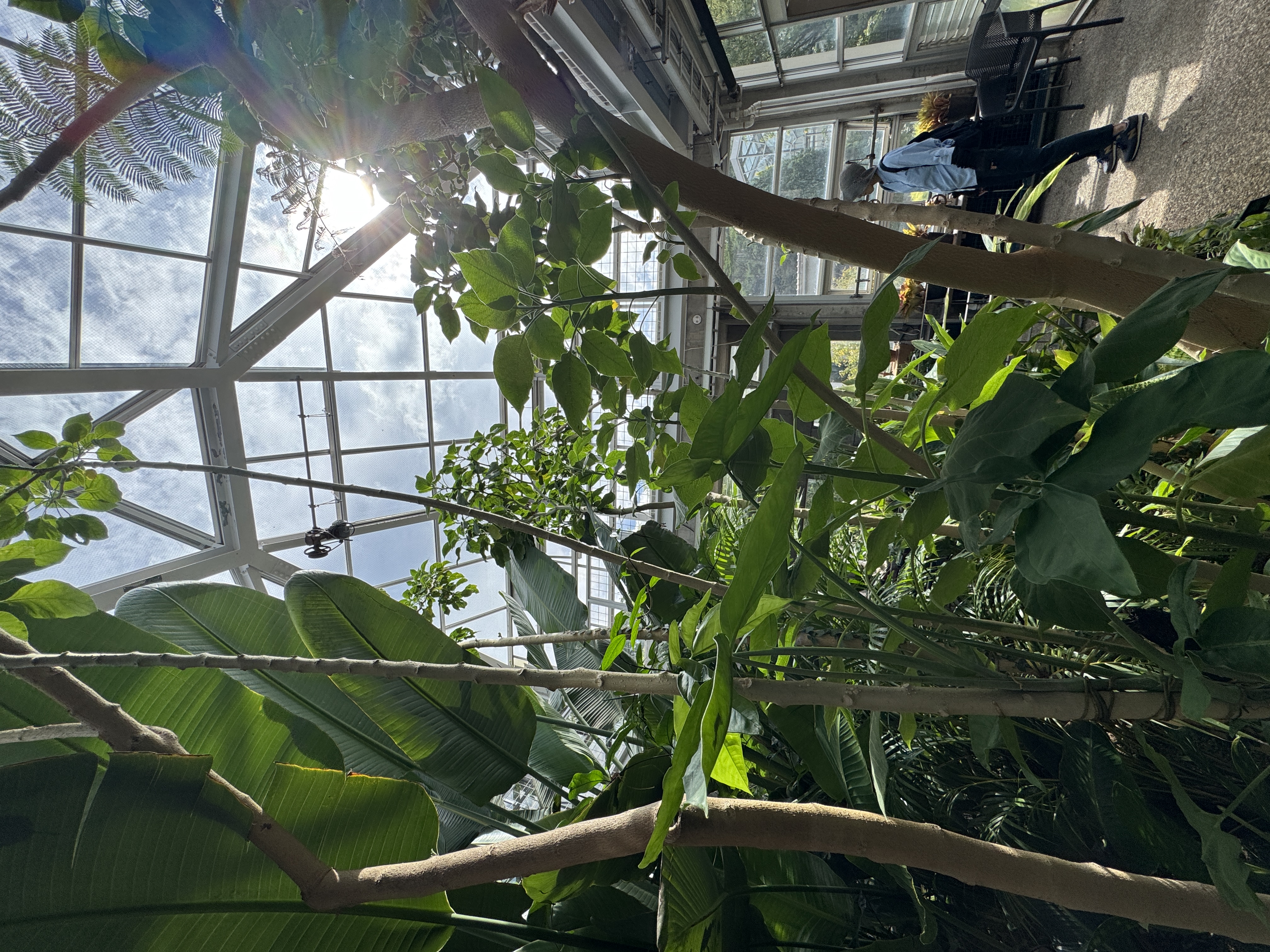 北山緑化植物園 色合わせが美しい秋の花壇