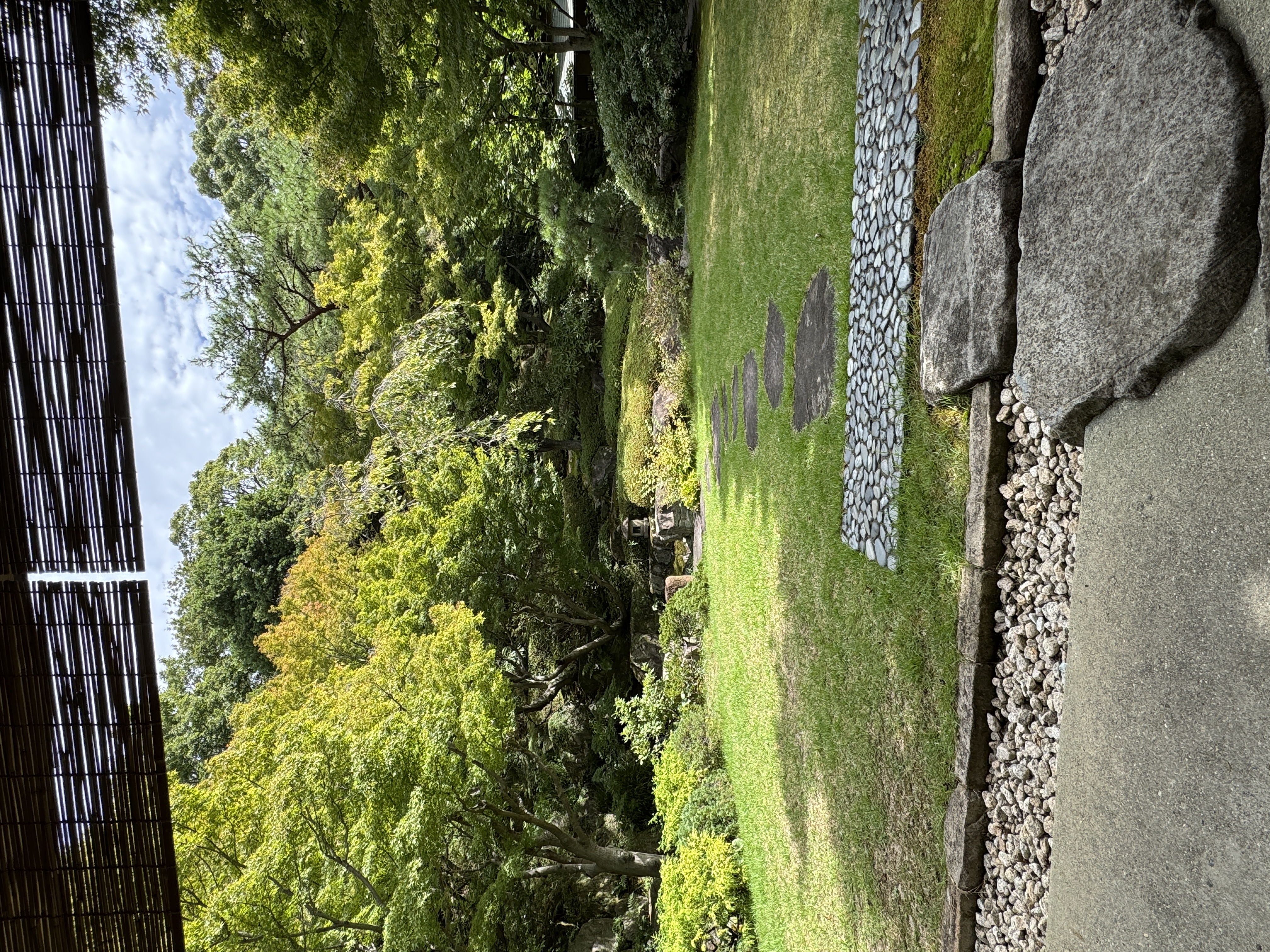 縁側から眺める和庭