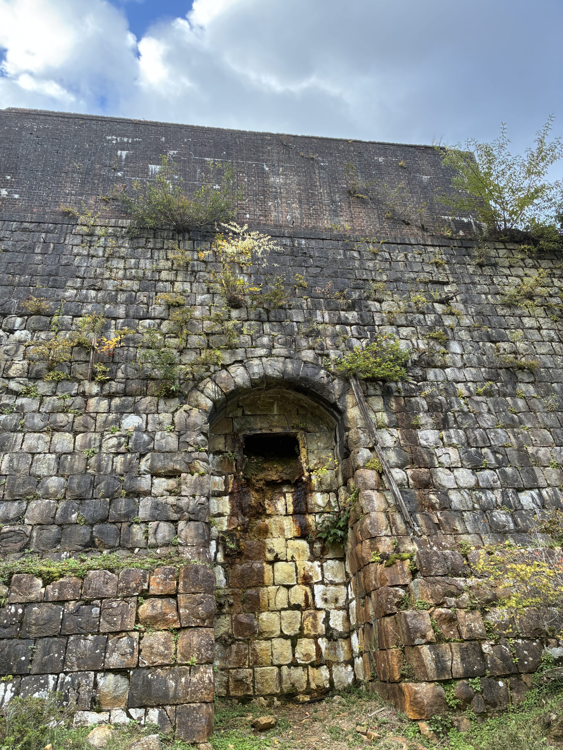 Moss-covered structures