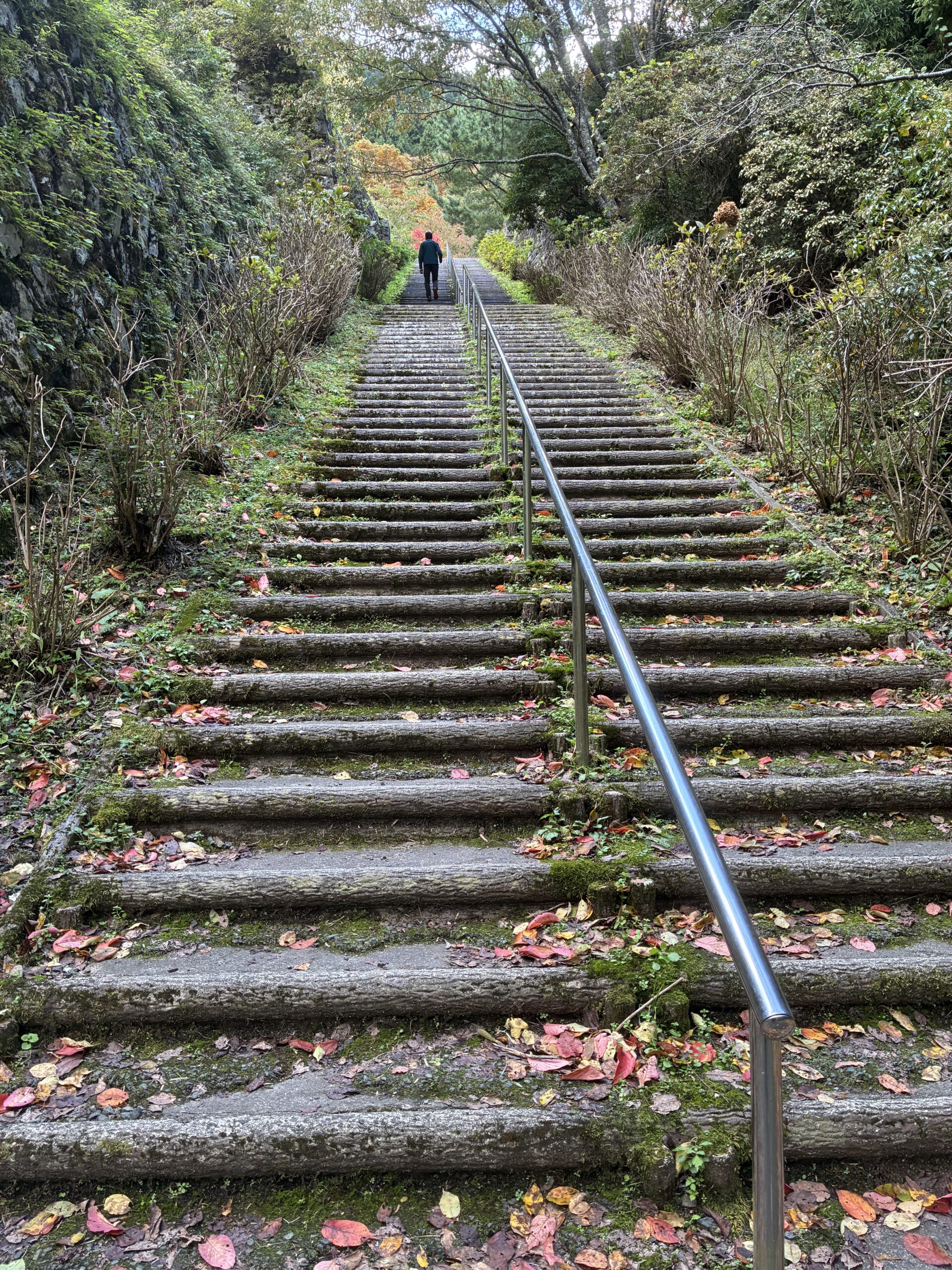 Stairs to the incline ruins (total 220 steps)