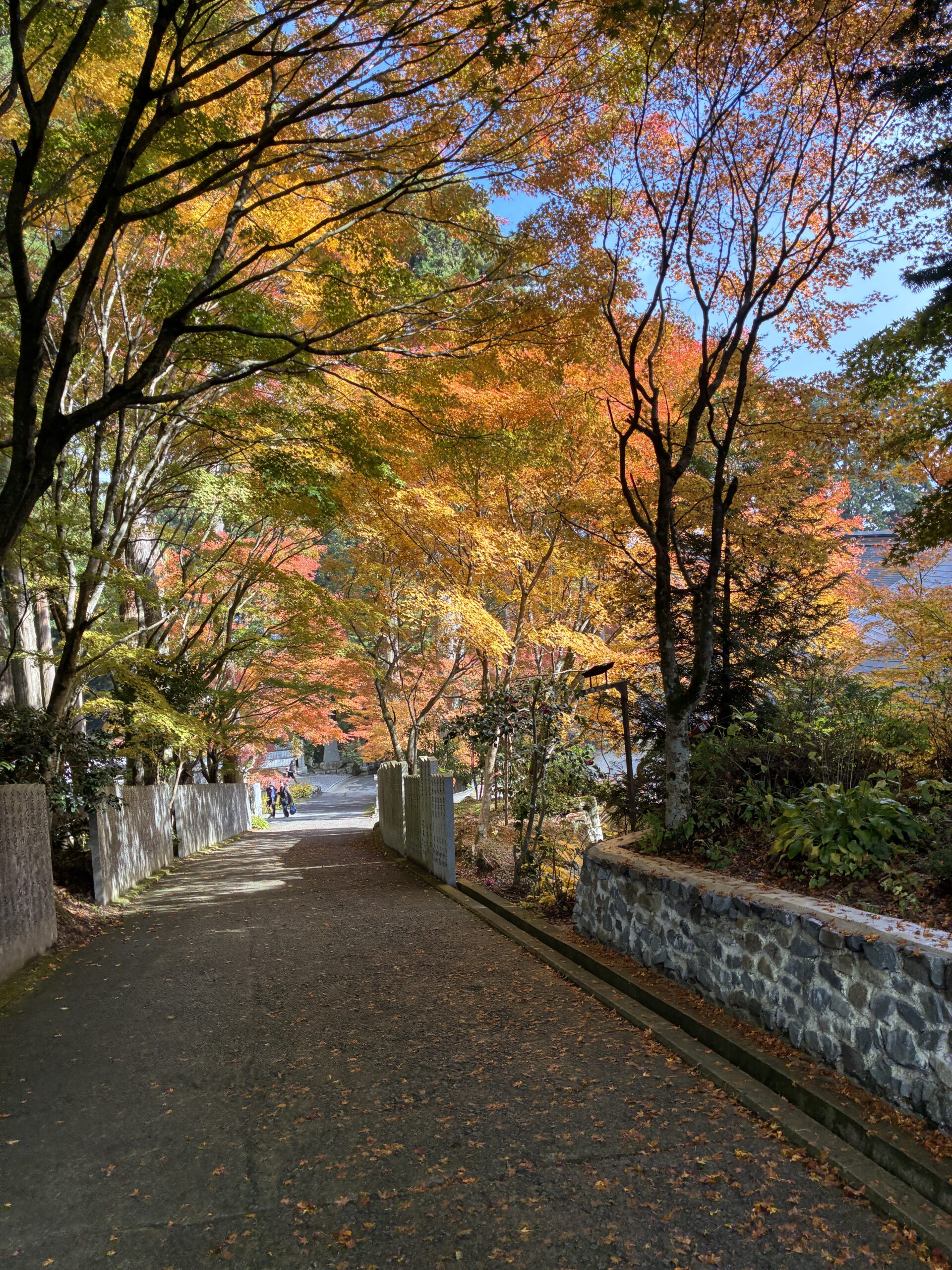 山麓周辺の紅葉と空