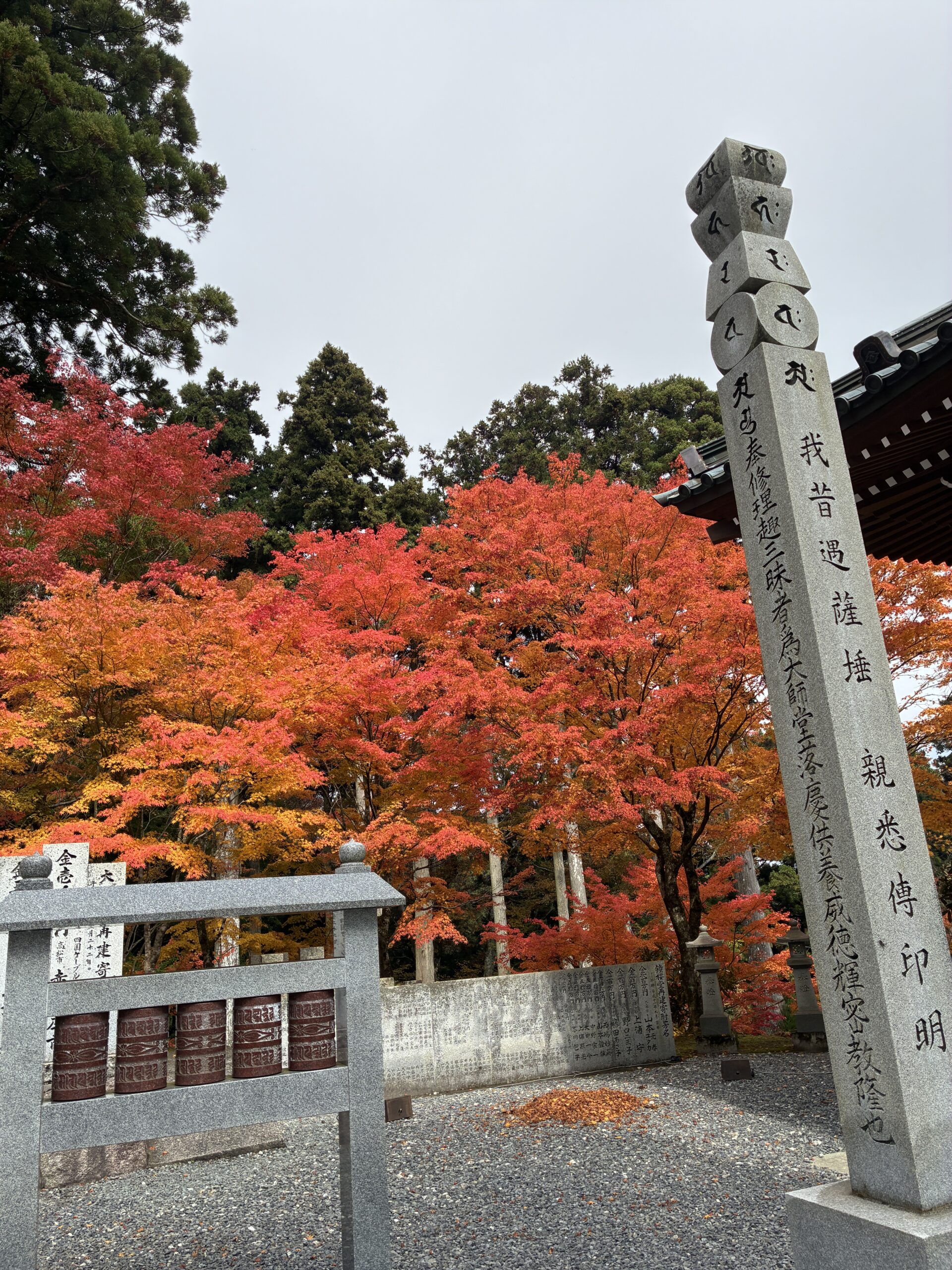境内の石垣と紅葉のアップ