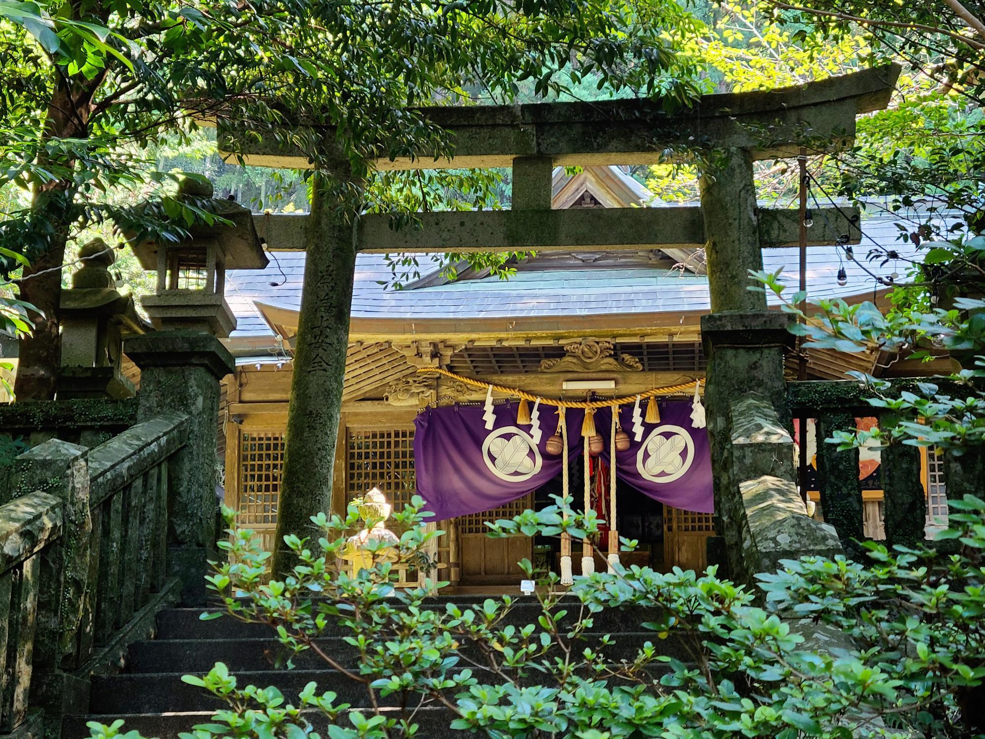 高知市仁井田の仁井田神社 社殿