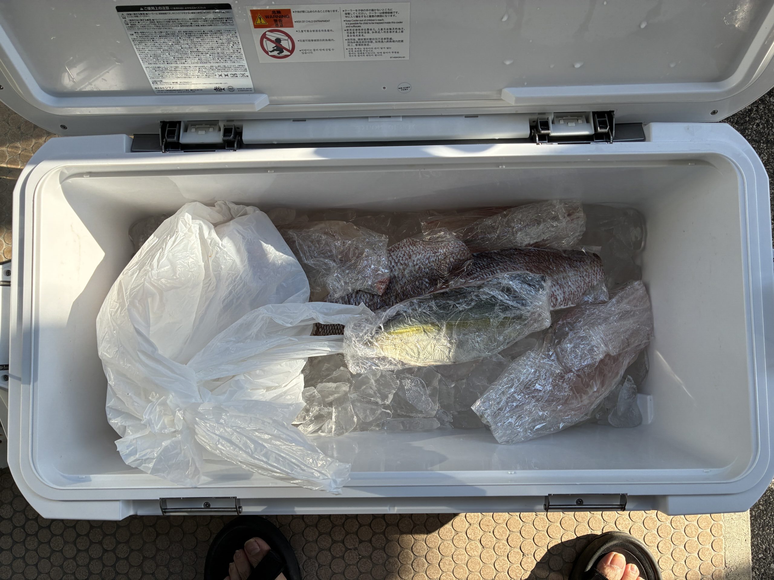 釣りたての魚を綺麗に三枚おろしに捌いた様子